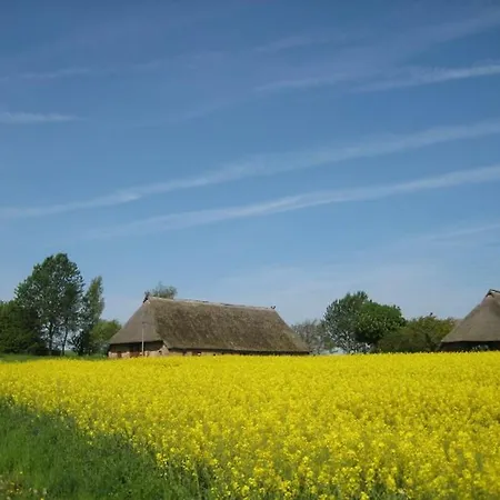 Finnhuette Moewe Wittenbecker Tannen * Wittenbeck