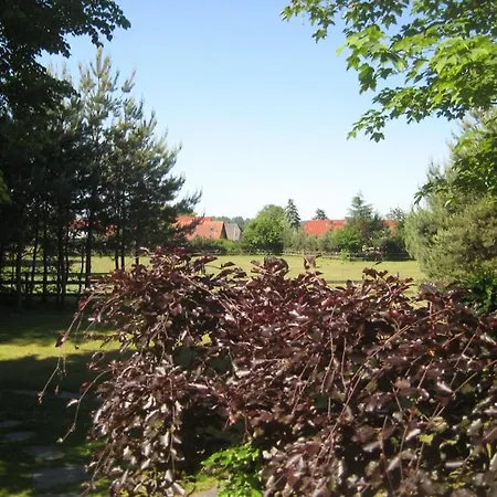 Finnhuette Moewe Wittenbecker Tannen Holiday home Wittenbeck