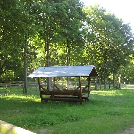 Finnhuette Moewe Wittenbecker Tannen Holiday home